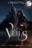 The_city_of_veils
