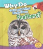 Why_do_owls_and_other_birds_have_feathers_