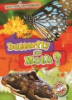 Butterfly_or_moth_