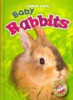 Baby_rabbits