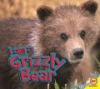 I_am_a_grizzly_bear