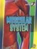 Muscular_system