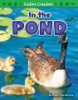 In_the_pond