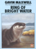 Ring_of_bright_water