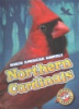 Northern_cardinals