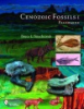 Cenozoic_fossils