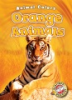Orange_animals