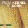 From_kernel_to_corn