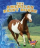 The_American_paint_horse