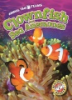 Clownfish_and_Sea_anemones