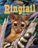 Ringtail