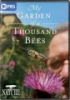 My_garden_of_a_thousand_bees