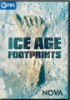 Ice_age_footprints