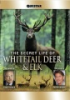 The_secret_life_of_whitetail_deer___elk
