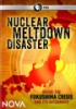 Nuclear_meltdown_disaster