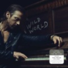 Wild_World