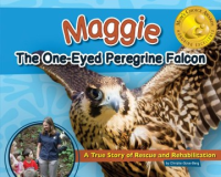 Maggie_the_one-eyed_peregrine_falcon
