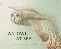 An_owl_at_sea