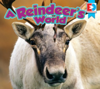 A_reindeer_s_world