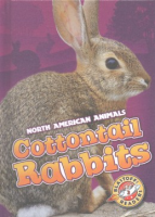 Cottontail_rabbits