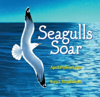 Seagulls_Soar