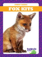 Fox_kits