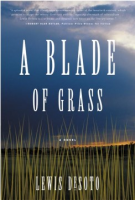 A_blade_of_grass